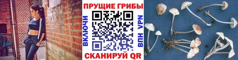 магазин Южно-Сахалинск Псилоцибиновые грибы мухоморы
