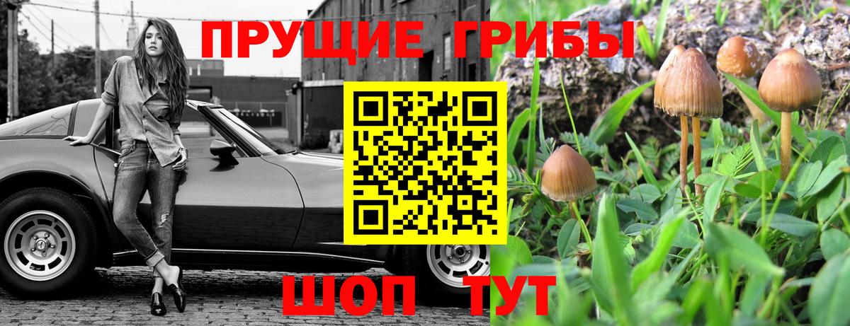 Псилоцибиновые грибы мухоморы Южно-Сахалинск