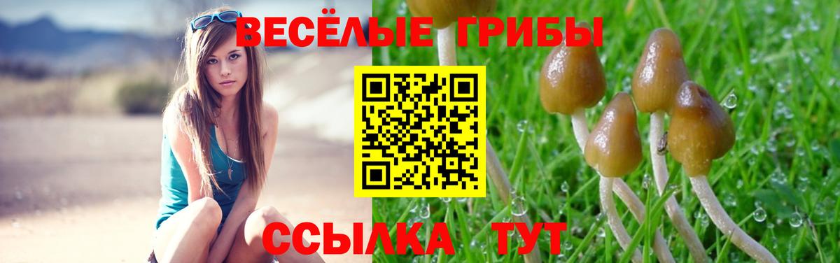 Галлюциногенные грибы ЛСД  Галлюциногенные грибы MAGIC MUSHROOMS  Вход с VPN  Южно-Сахалинск 